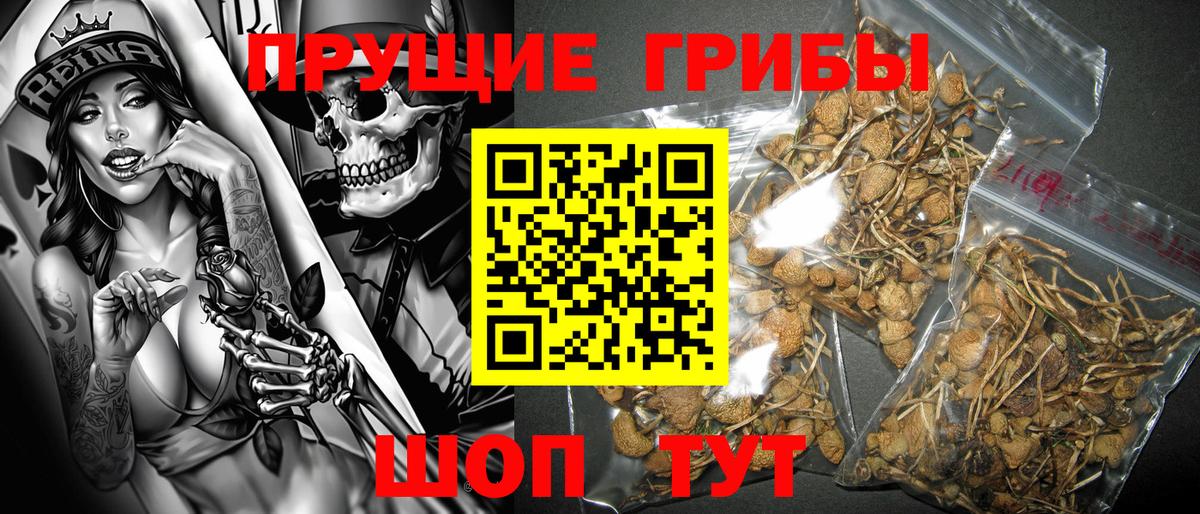 Муром  Псилоцибиновые грибы прущие грибы  Вход с VPN 